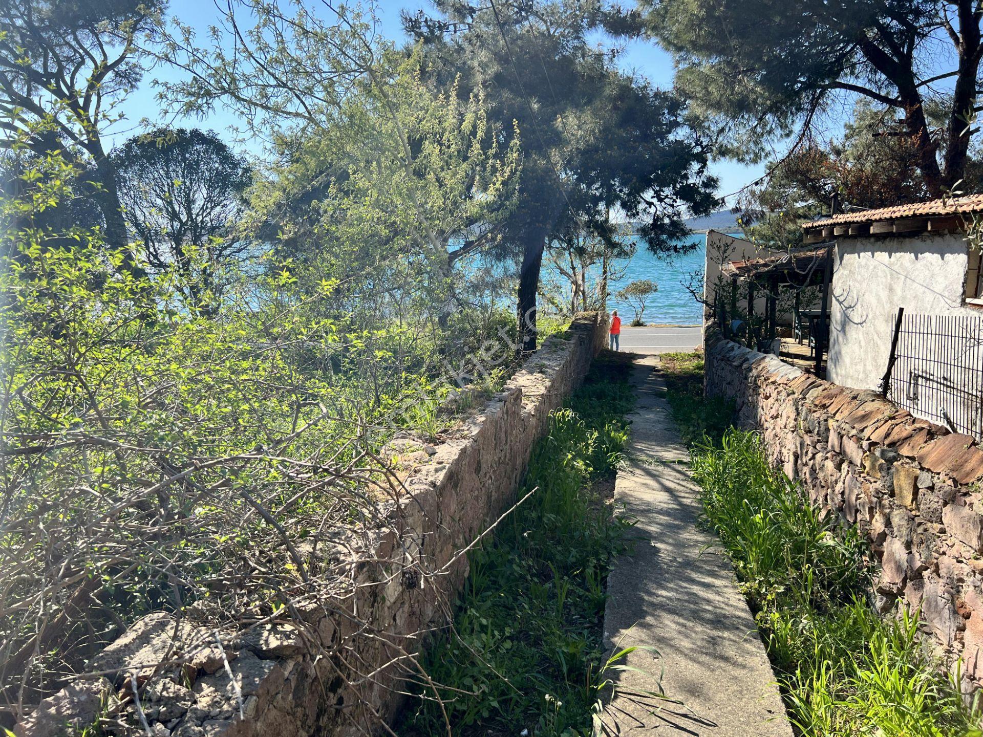 Balıkesir Ayvalık Camlık Ta Satılık Mustakil Ev.denize 90 Metre - Görsel 20