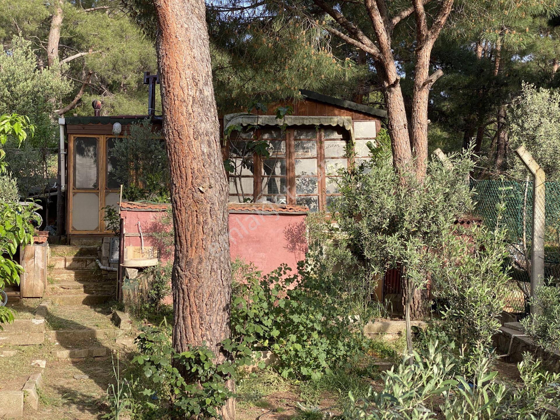 Balıkesir Ayvalık Camlık Ta Satılık Mustakil Ev.denize 90 Metre - Görsel 24