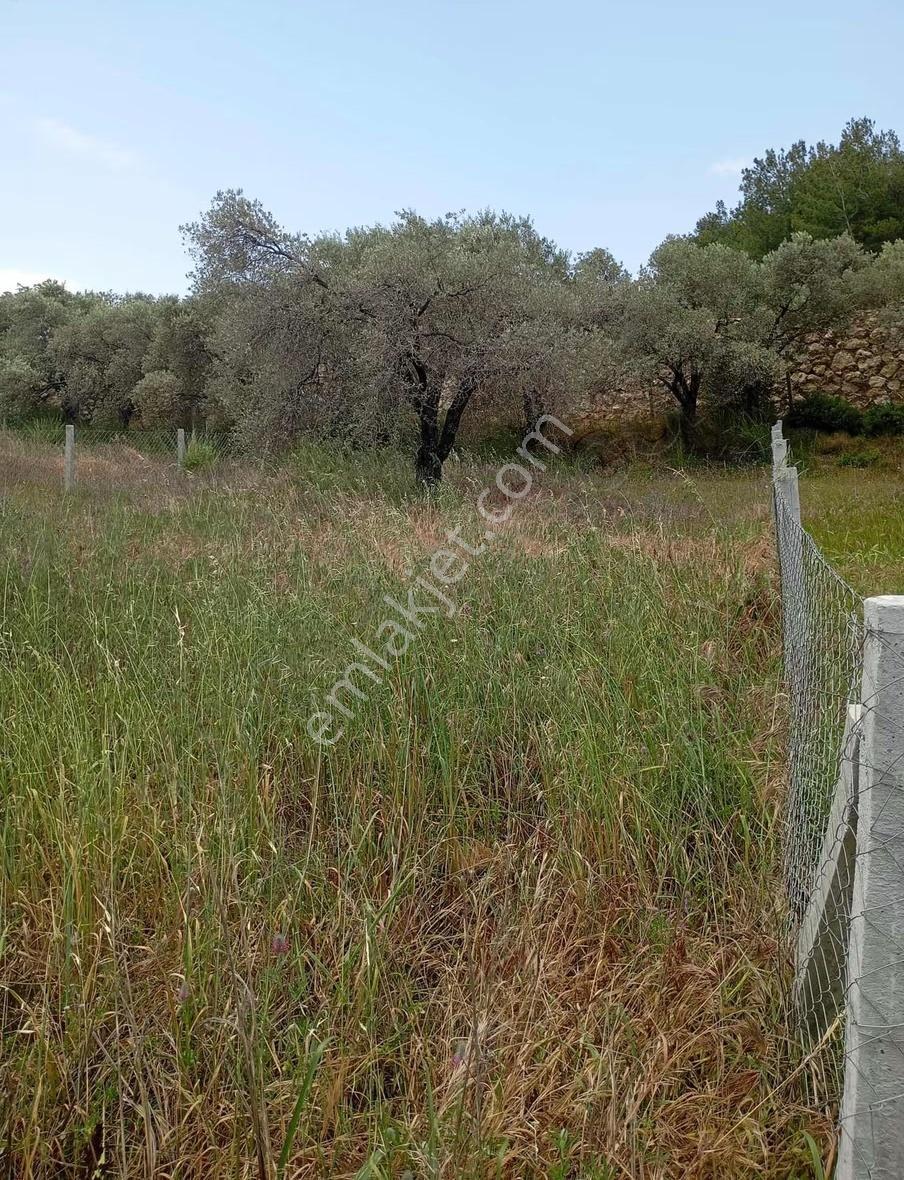 Buraxtan Torbalı Bozköyde 404 M Tarla - Görsel 8