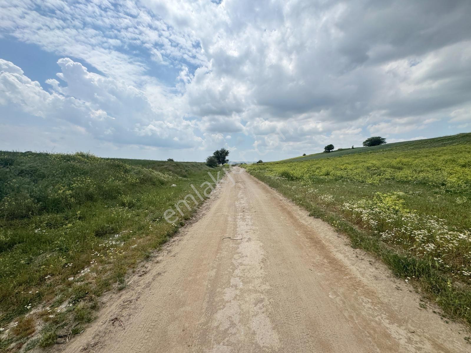 Aşkanlar Yapı'dan Tarla 5 Dönüm 880 Metre Kare Resmi Yol Cephe - Görsel 8