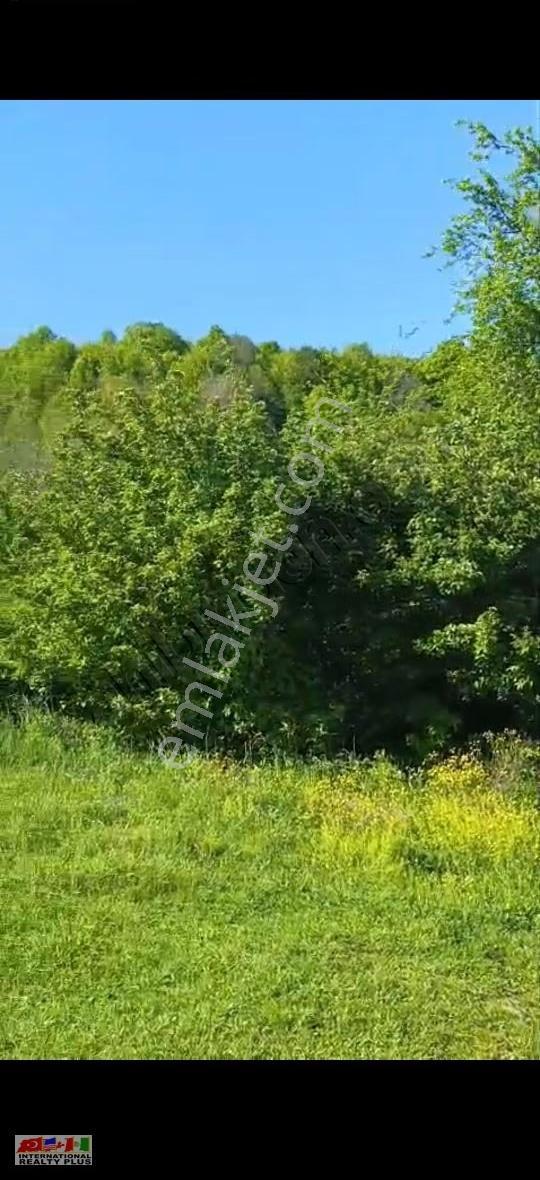 Sevindikli Alihocalar Köyünde Kaçırılmayacak İmarlı Arsa - Görsel 6