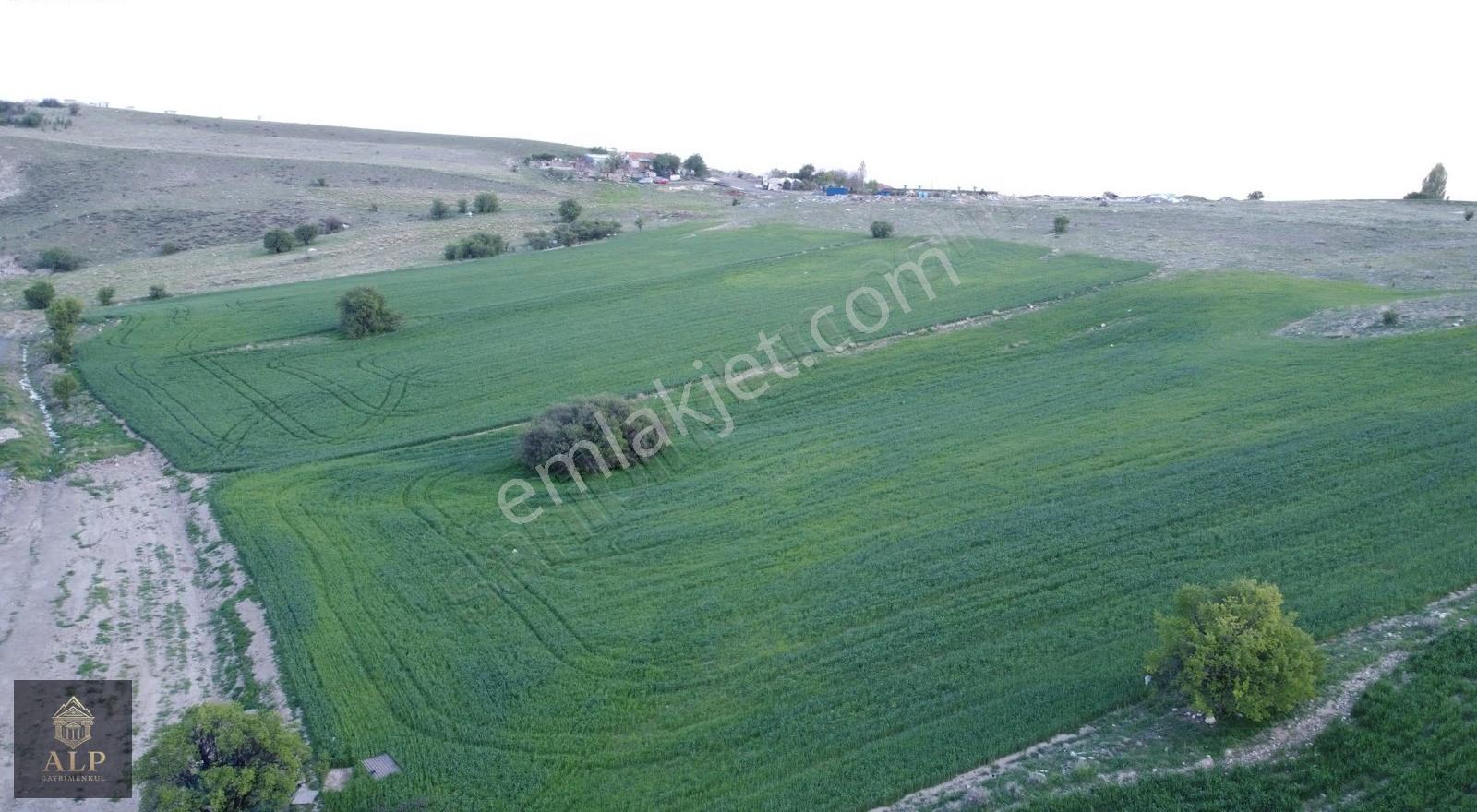 Alp Gayrimenkul'den Yakacık Mesire Alanı Yanında 300 M2 Arsa