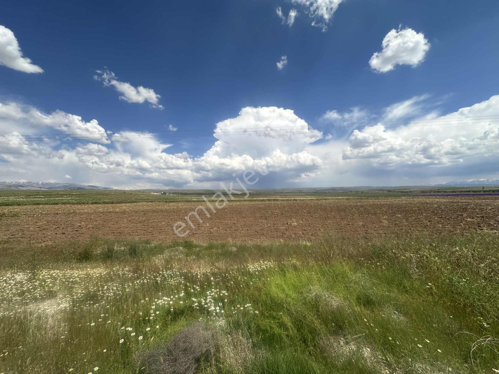 Niğde Bor Kemerhisarda Ana Yola Cephe 10.913 M² Satılık Tarla - Görsel 13