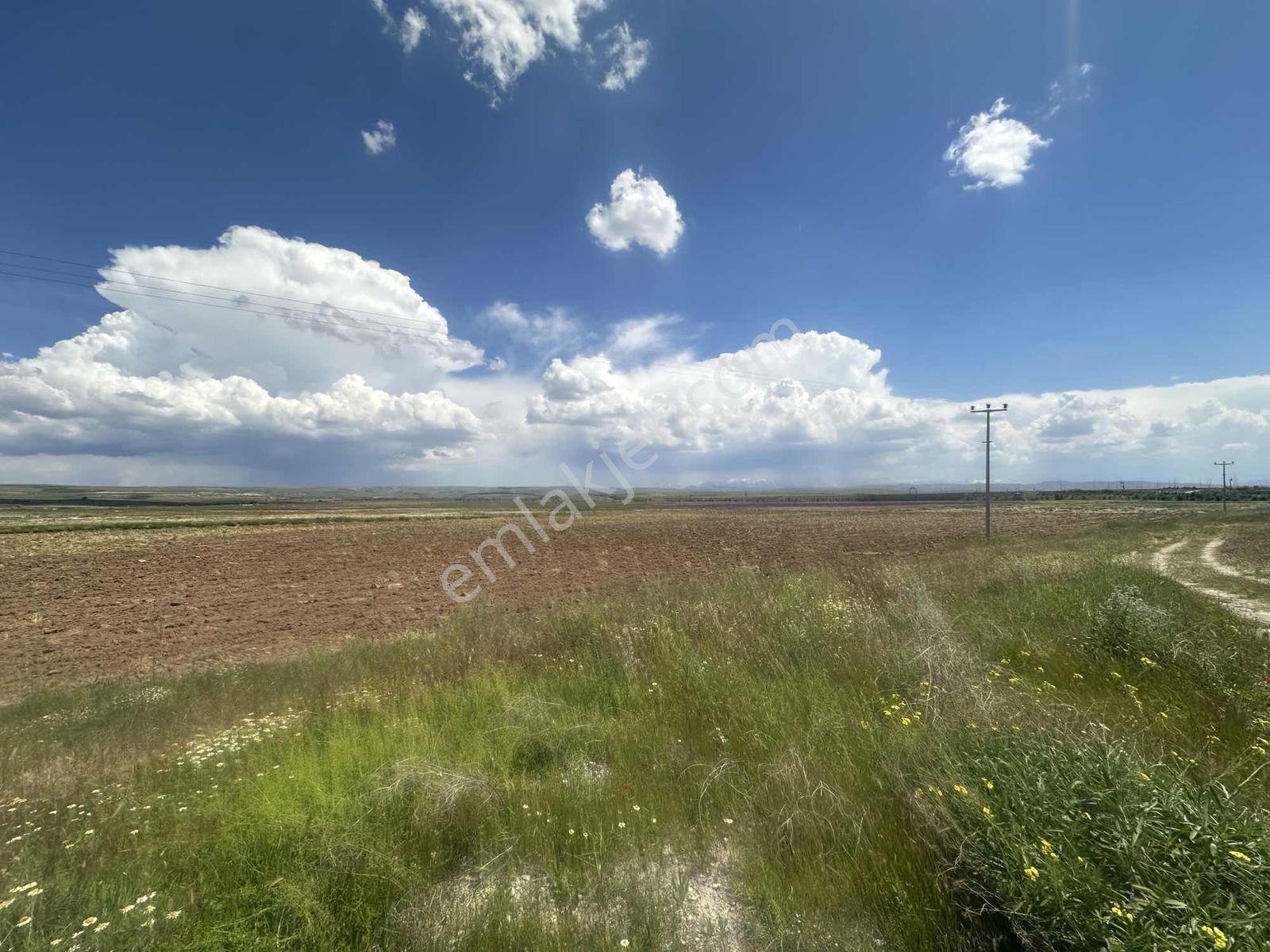 Niğde Bor Kemerhisarda Ana Yola Cephe 10.913 M² Satılık Tarla - Görsel 10