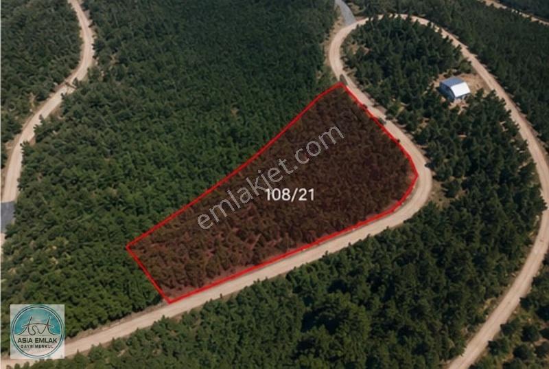Asia Dan Satılık Emsalsiz Yol Üzeri 165 Ocak Bulunan Fındıklık - Görsel 6