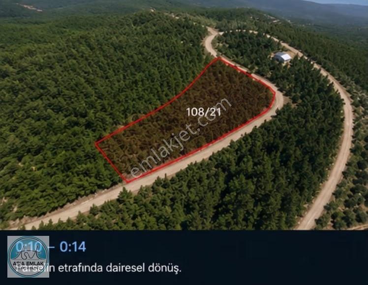 Asia Dan Satılık Emsalsiz Yol Üzeri 165 Ocak Bulunan Fındıklık - Görsel 3