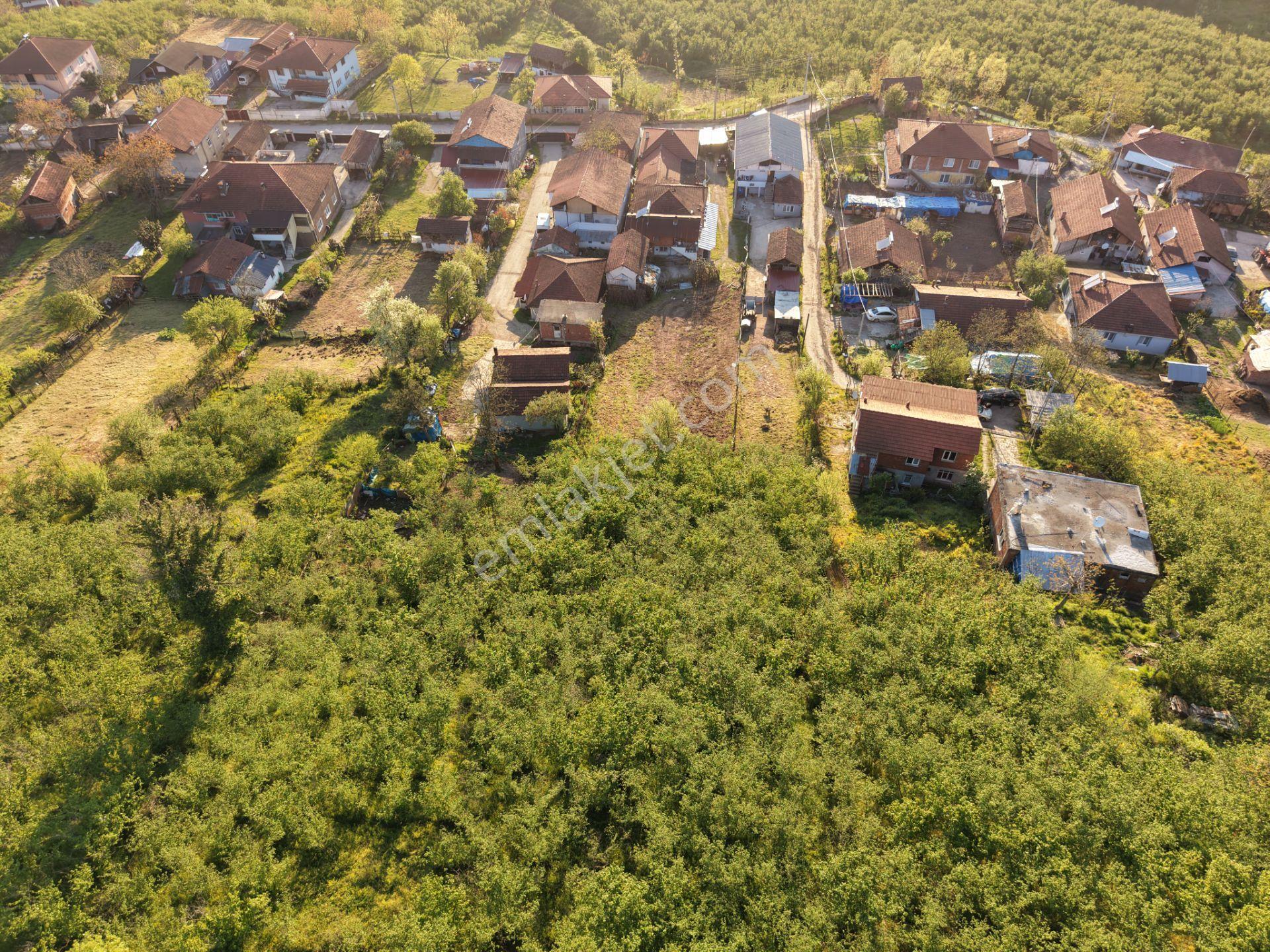 Emlakevim- Sakarya Hendek Kocaahmetler' De Satılık Mülk - Görsel 8