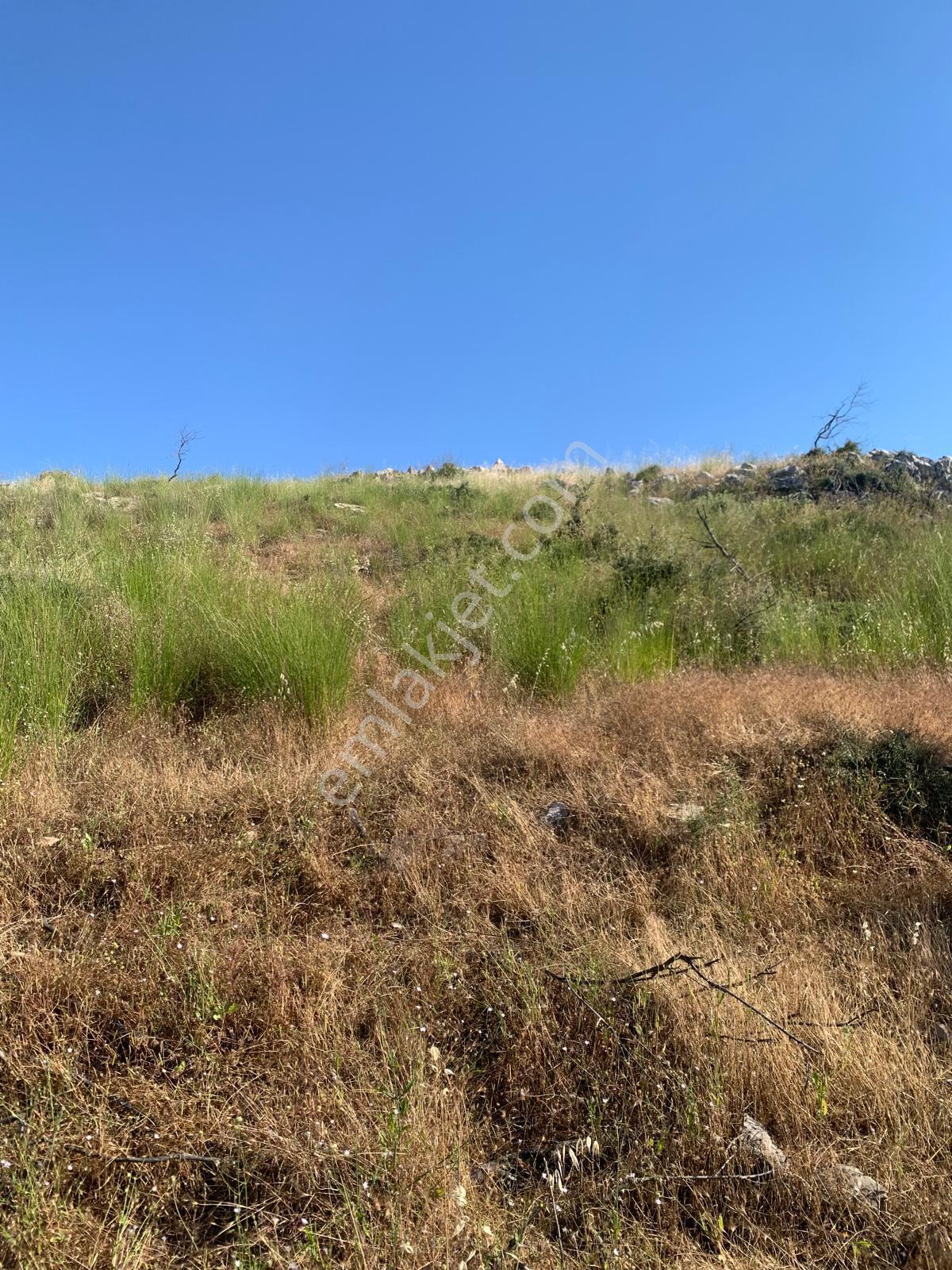 Stop’tan Göcek Merkeze 3km. 3850m² Arsa - Görsel 5