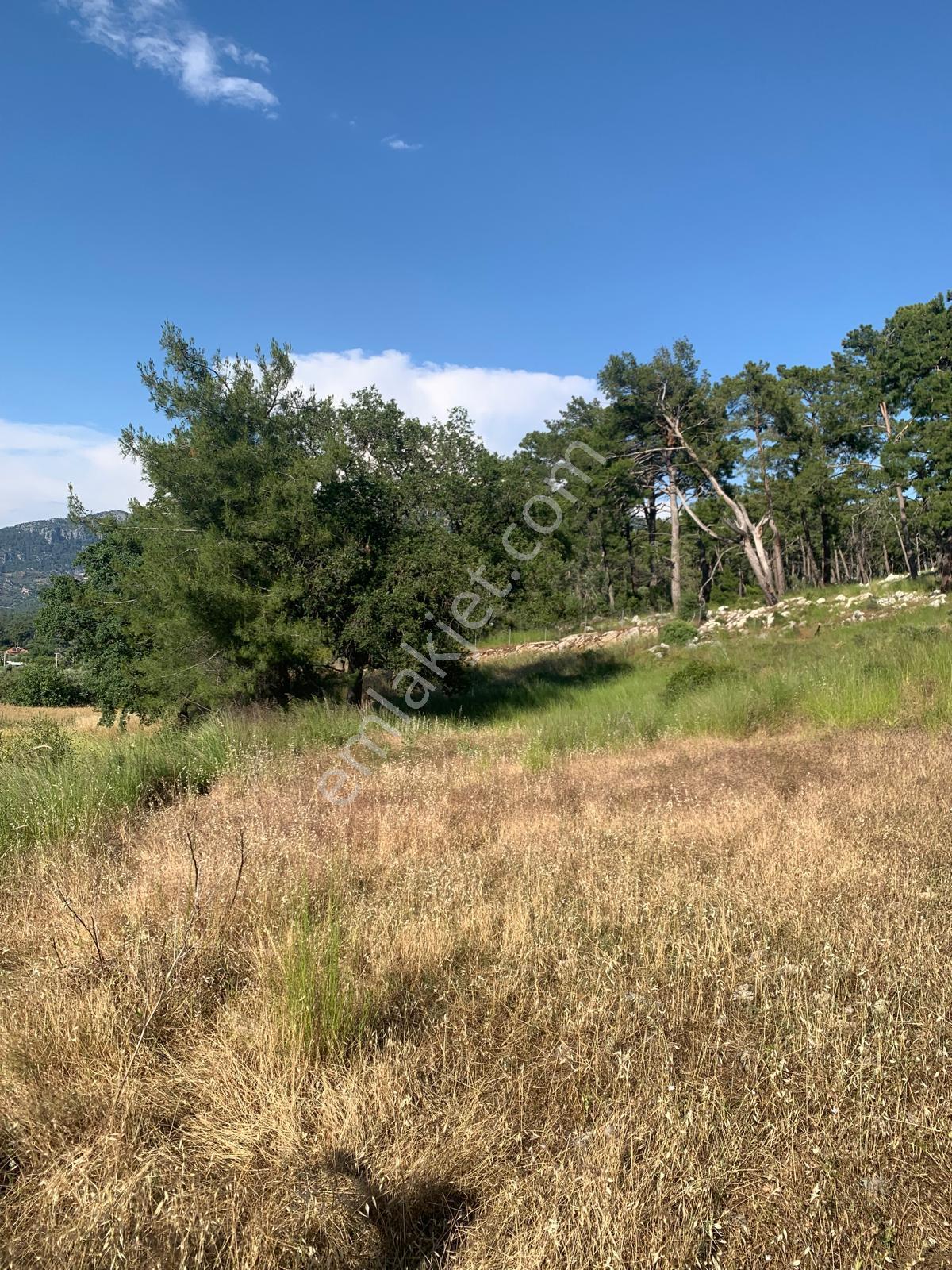 Stop’tan Göcek Merkeze 3km. 3850m² Arsa