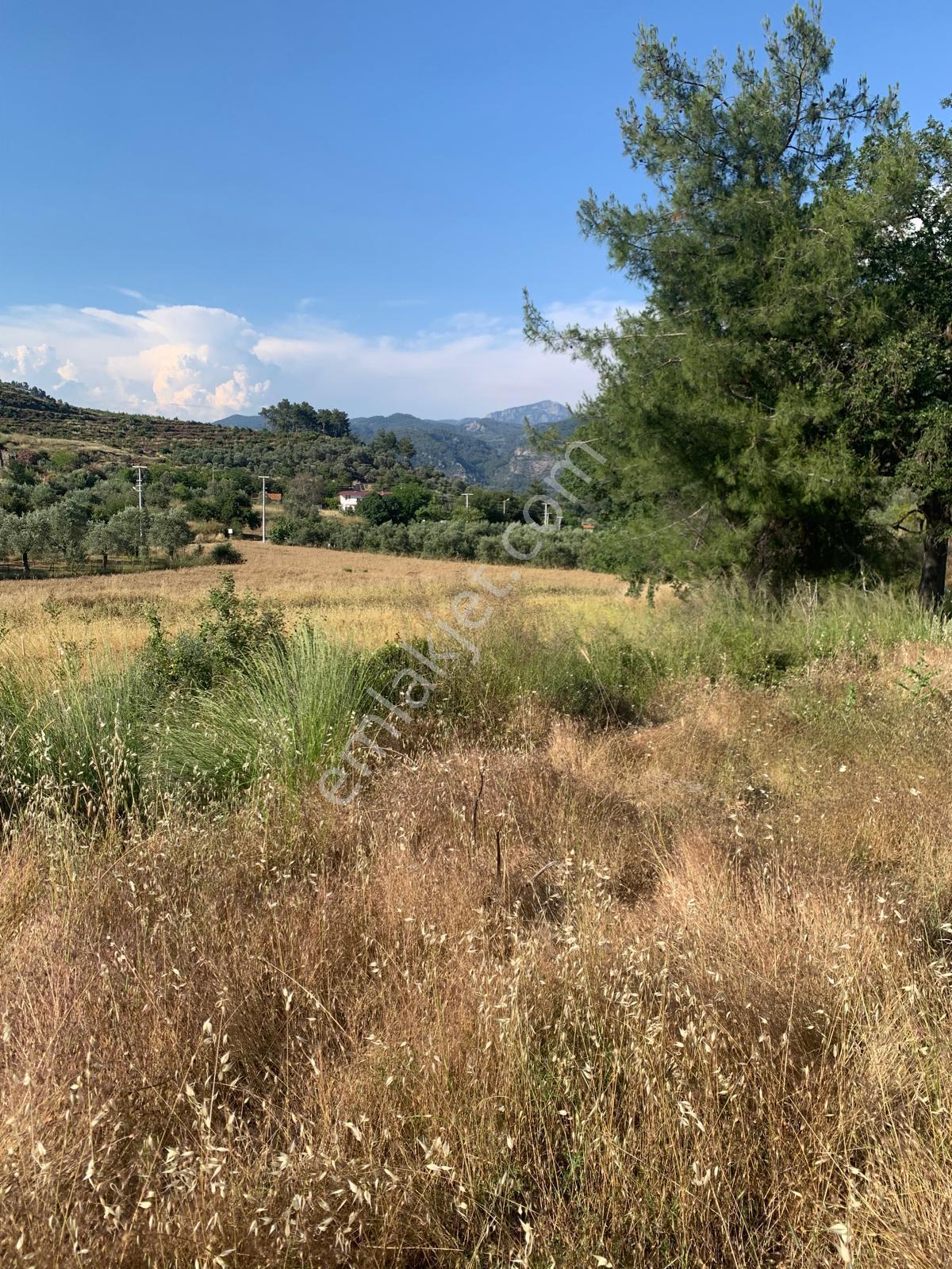 Stop’tan Göcek Merkeze 3km. 3850m² Arsa - Görsel 8