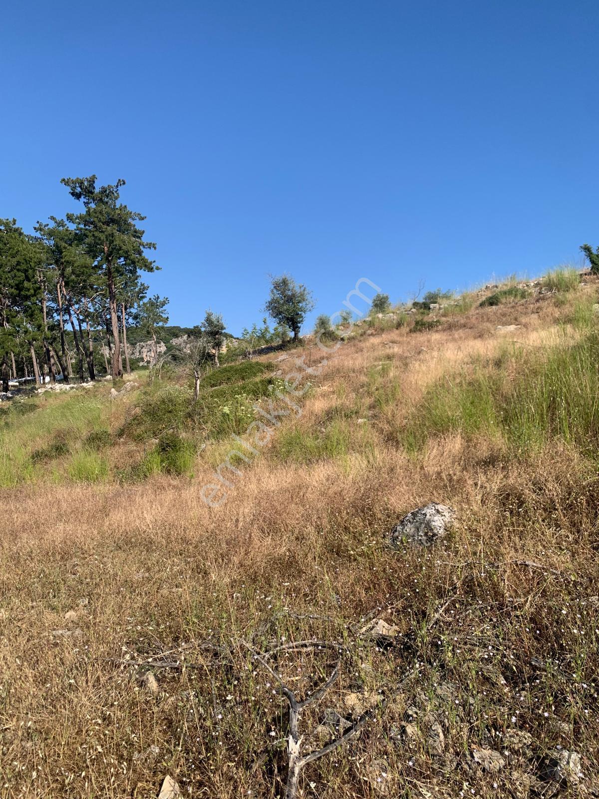 Stop’tan Göcek Merkeze 3km. 3850m² Arsa - Görsel 4