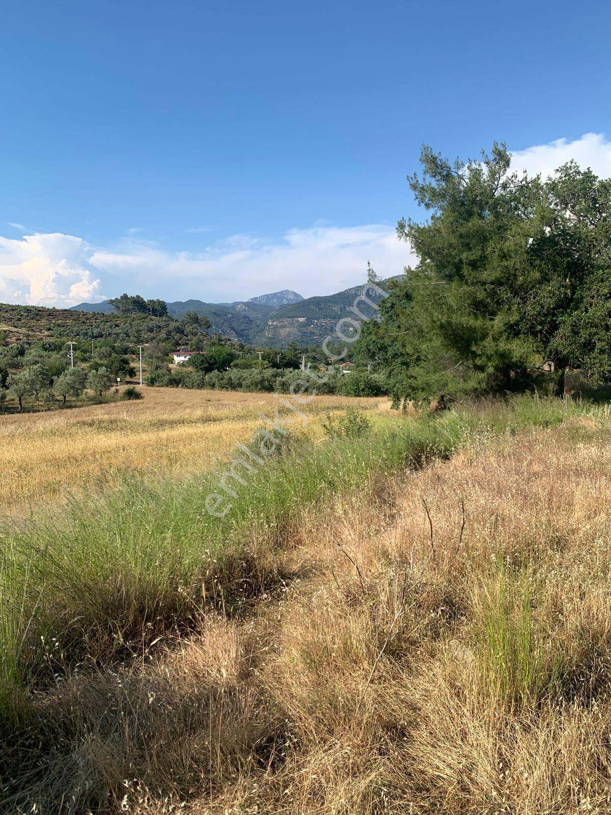 Stop’tan Göcek Merkeze 3km. 3850m² Arsa - Görsel 3