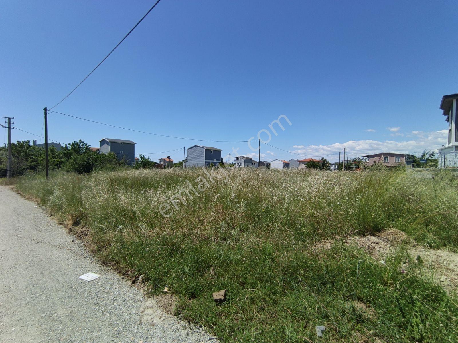 Altıntarla Mevkii İster 2 Adet İster 1 Adet 150 M2 Villa Arsası - Görsel 3