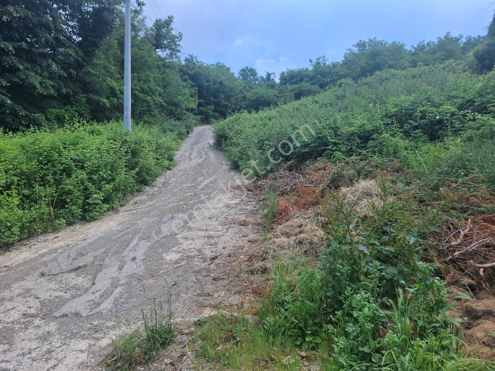 Sapanca'da Böylesi Yok! Kesintisiz Göl Manzaralı İmarlı Arsa - Görsel 25