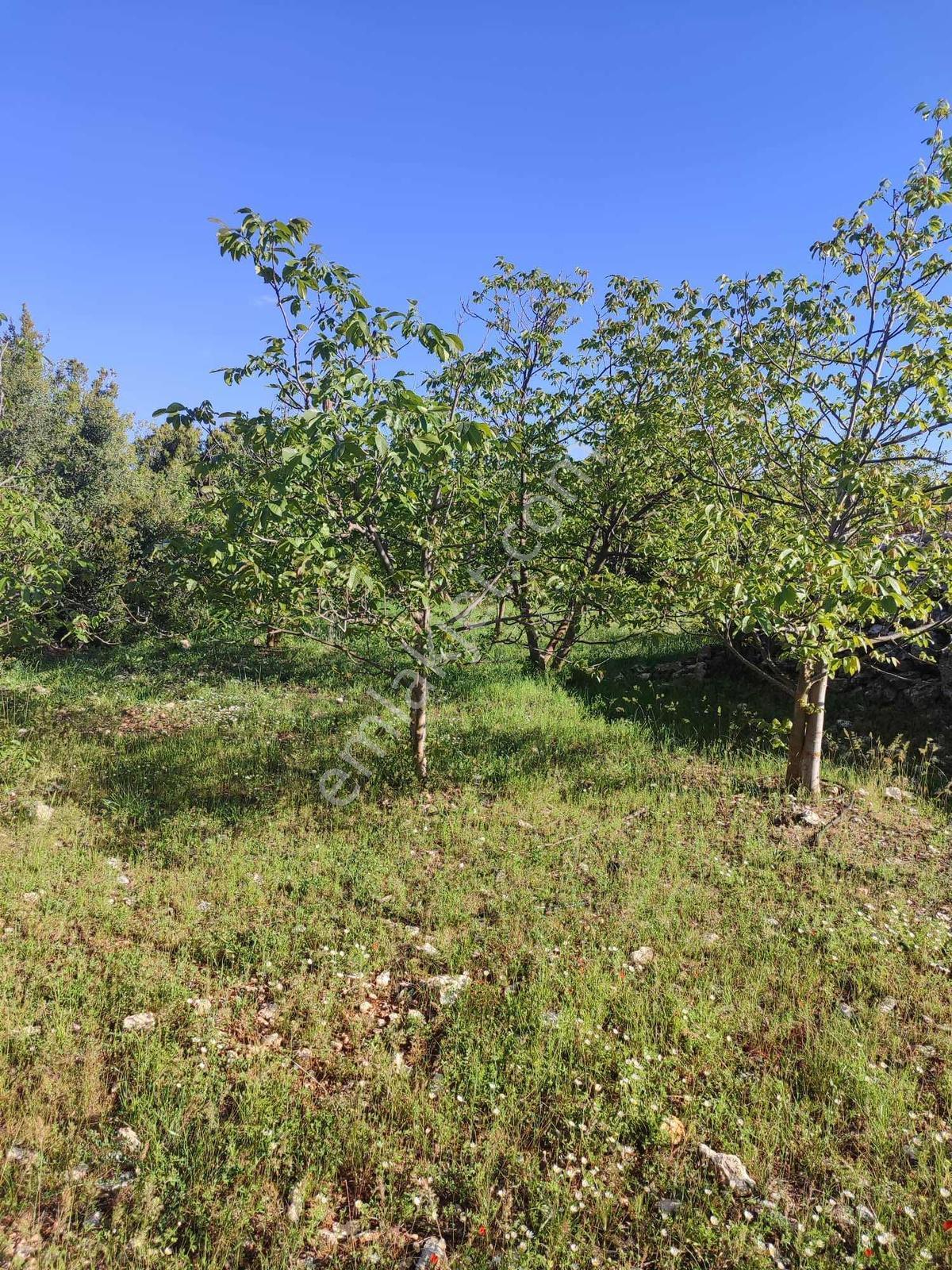 Erdemli Küstüllü Merkezde Villa İmarlı Arsa - Görsel 11