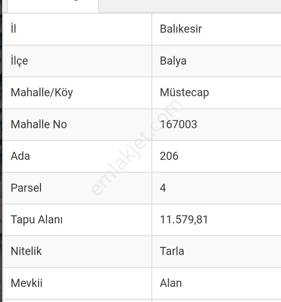 Balya Kaya Emlaktan Müstecap Mahallesinde Kaçırılmayacak Tarla - Görsel 3