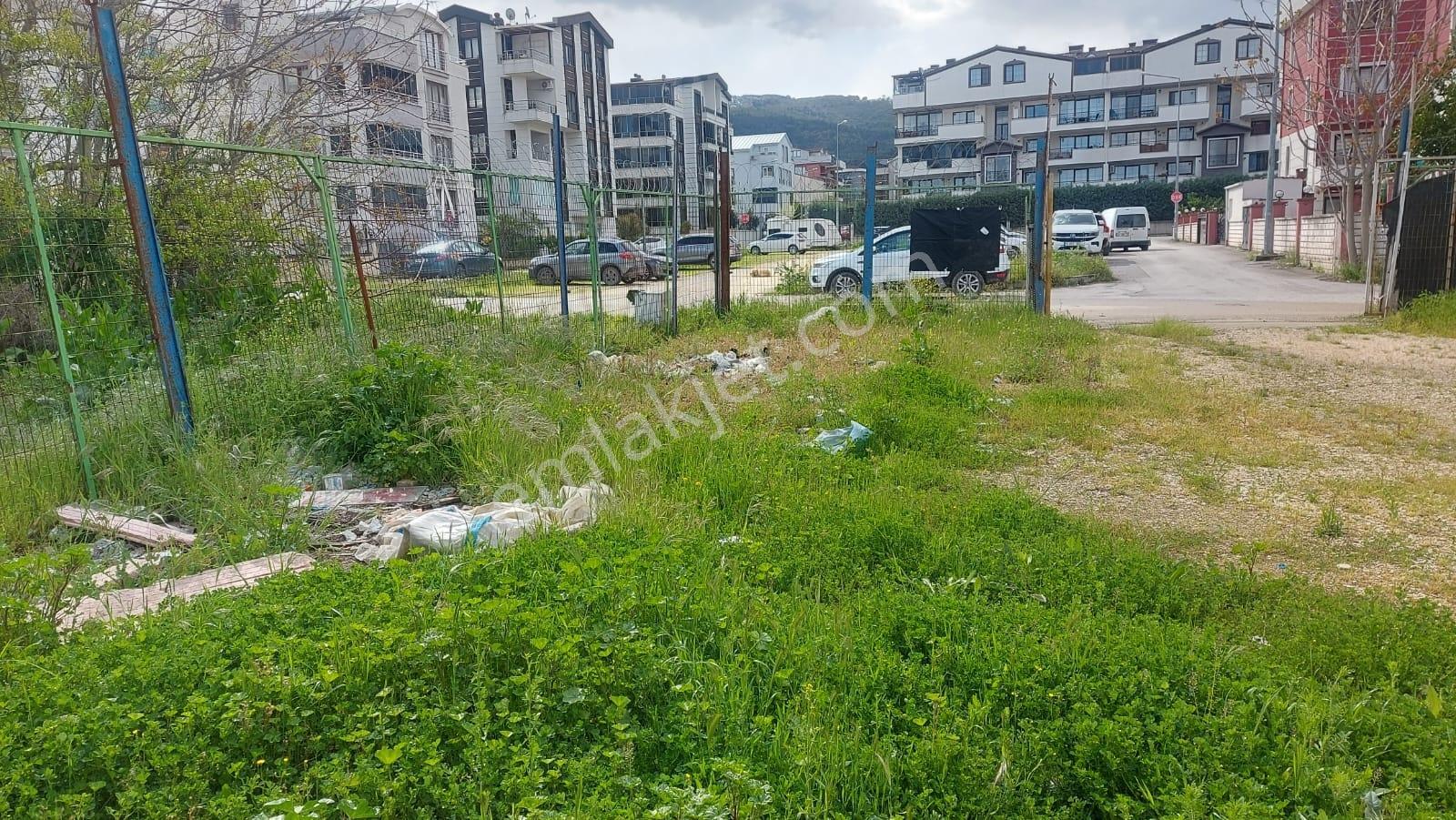 Çalı Merkezde İmara Komşu Asfalt Yola Cephe 866m2 Kiralık Arazi