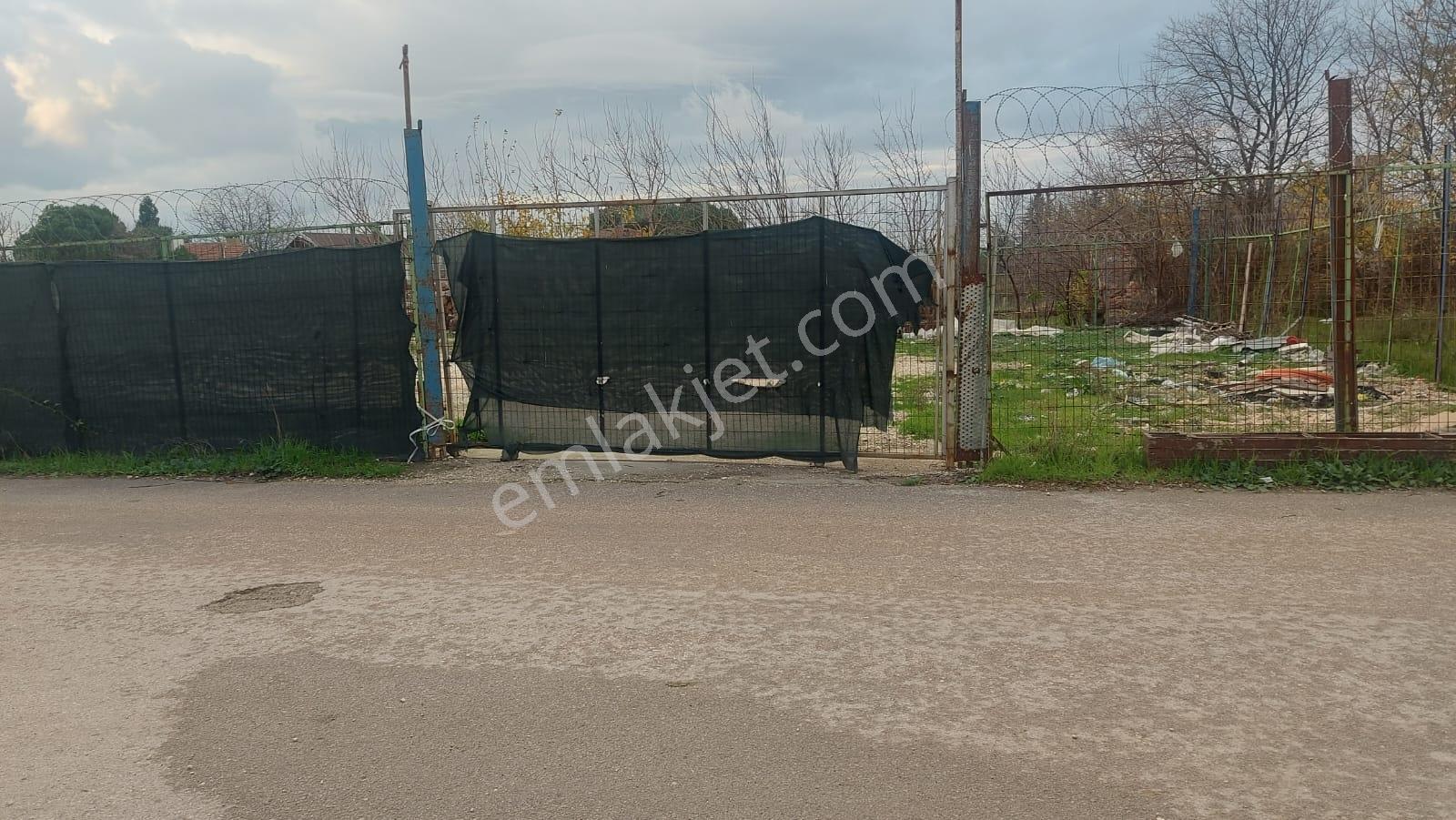 Çalı Merkezde İmara Komşu Asfalt Yola Cephe 866m2 Kiralık Arazi - Görsel 10