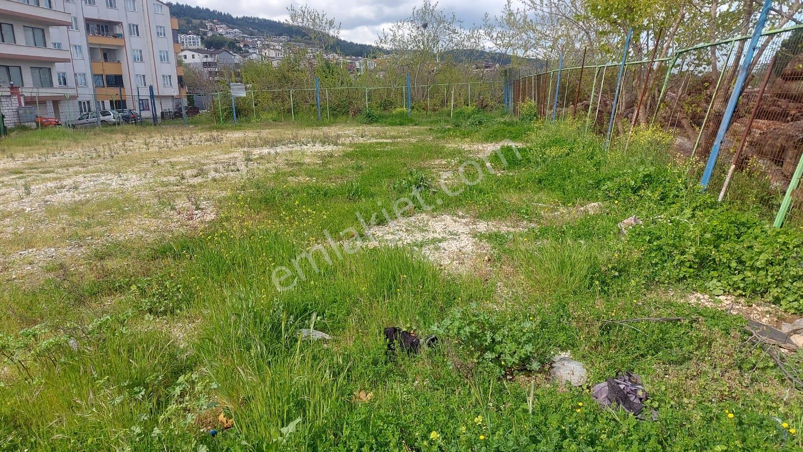 Çalı Merkezde İmara Komşu Asfalt Yola Cephe 866m2 Kiralık Arazi - Görsel 21