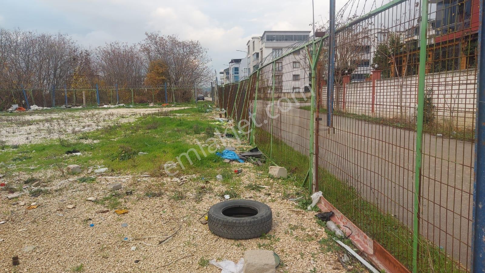 Çalı Merkezde İmara Komşu Asfalt Yola Cephe 866m2 Kiralık Arazi - Görsel 23