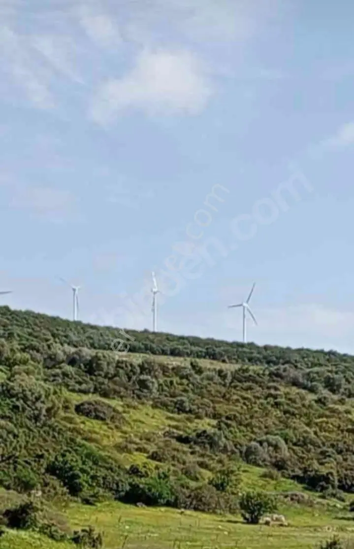 Arga'dan Didim Akyeniköyde 374m2 Satılık Arsa - Görsel 3