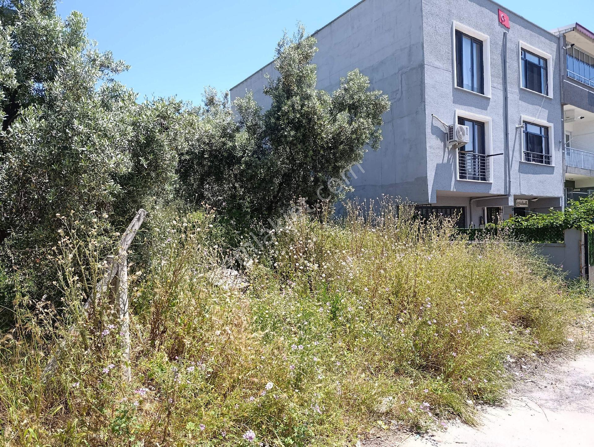 Bursa Osmangazi Yunuseli Güneştepe Mahallesi – İmarlı 160 M² Satılık Arsa - Görsel 4