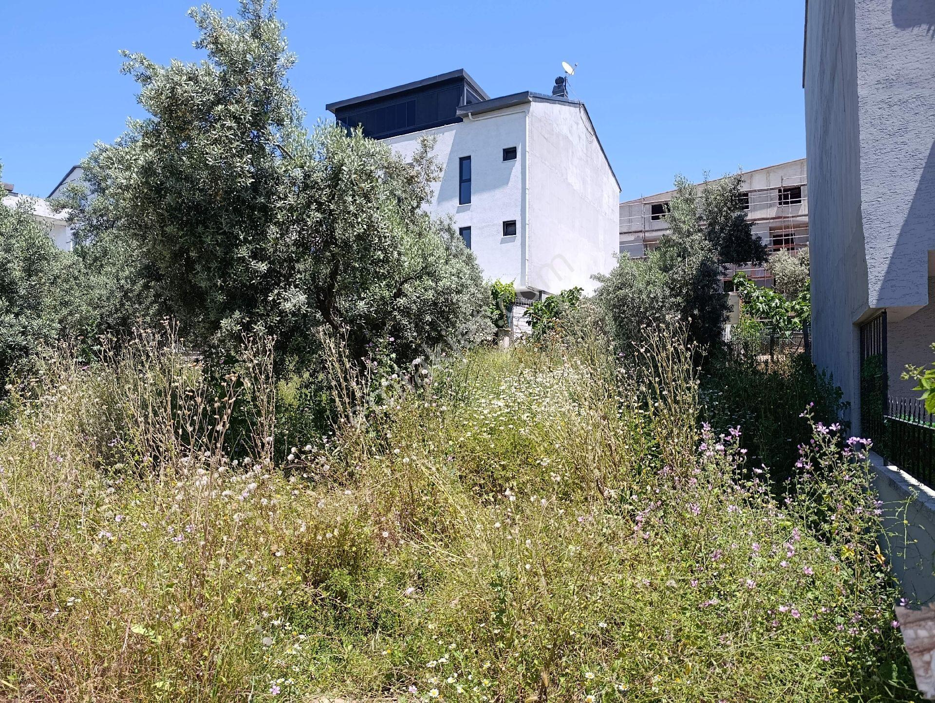 Bursa Osmangazi Yunuseli Güneştepe Mahallesi – İmarlı 160 M² Satılık Arsa - Görsel 3