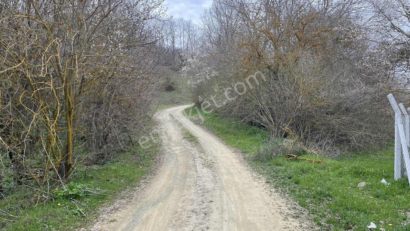 Doğa City Den Satılık Söğüt Oluklu Doğayla İç İçe 1410 M2 Tarla - Görsel 11