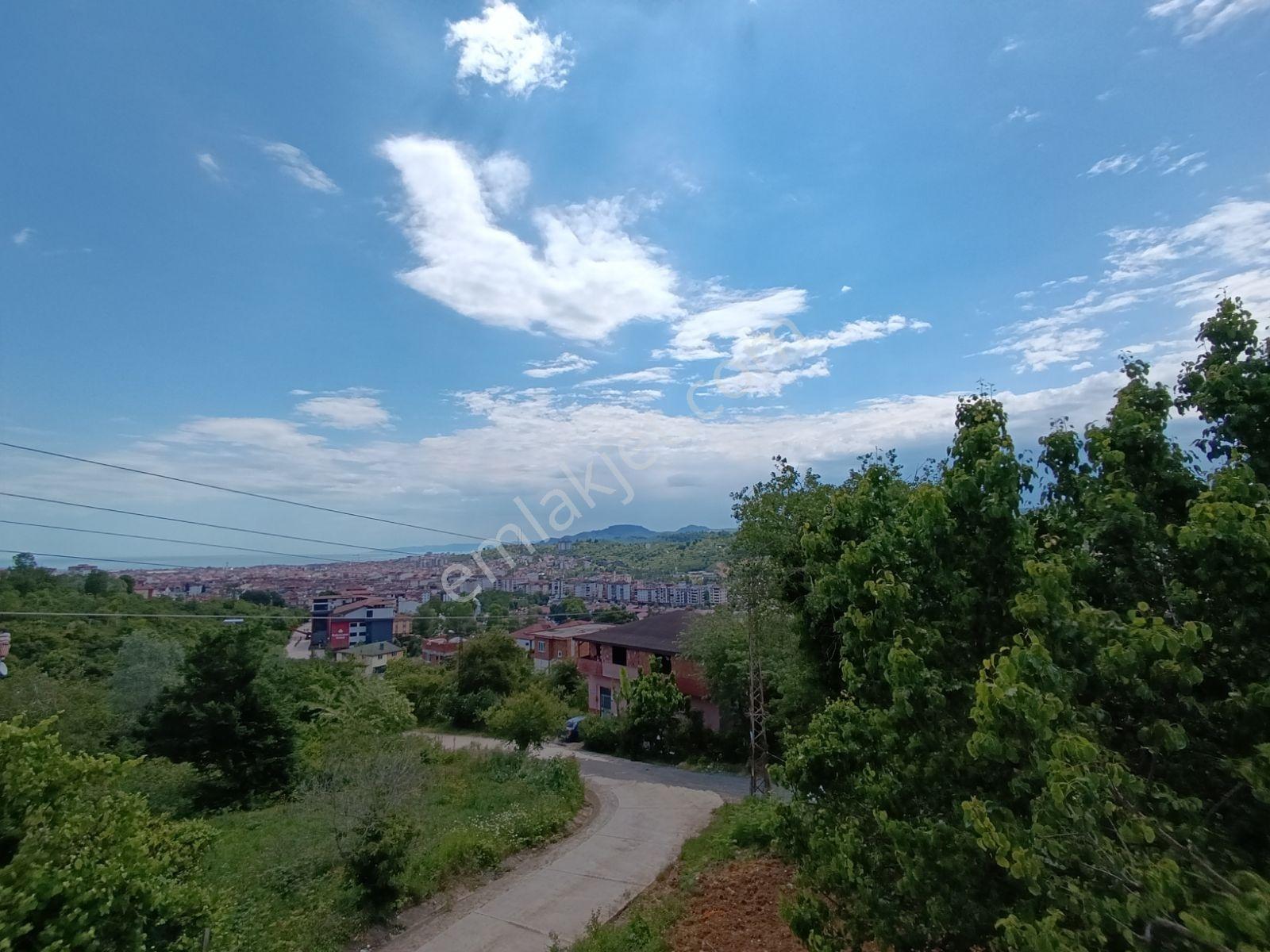 Ünye Yunus Emre Mahallesi'nde 284 Metrekare Deniz Manzaralı Arsa - Görsel 7