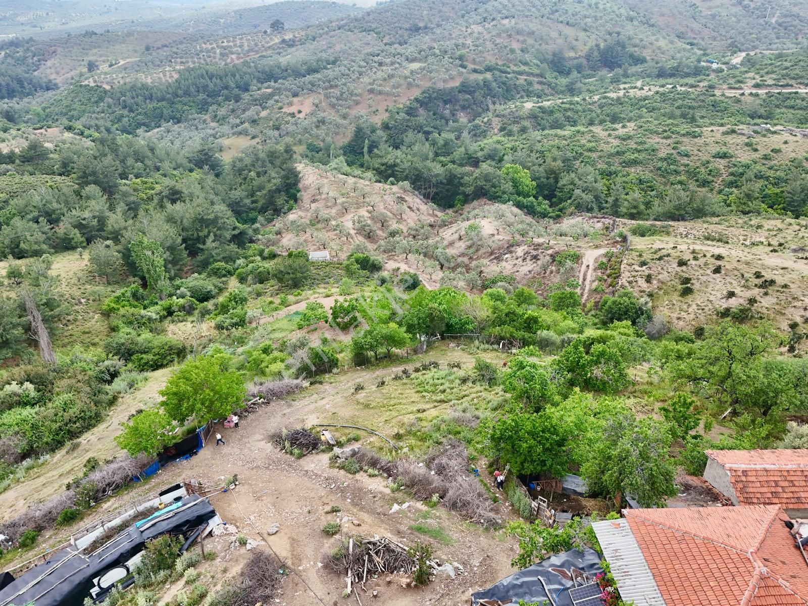 Aras Emlaktan Havran Tepeobada Köy İmarlı Arsa - Görsel 2