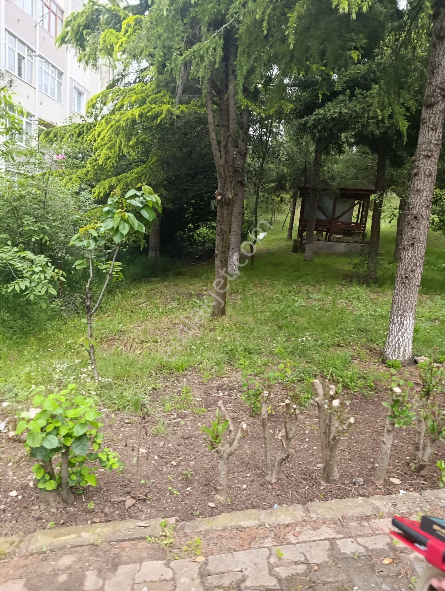 Emek Emlak'tan İlimtepe Belediye Evleri 1.etap B Blok Satılık Daire S-2714 - Görsel 18