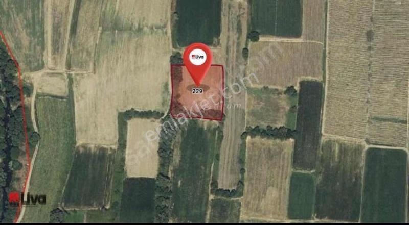 Liva'dan Ovaköy Mahallesinde Satılık Yatırımlık Tarla