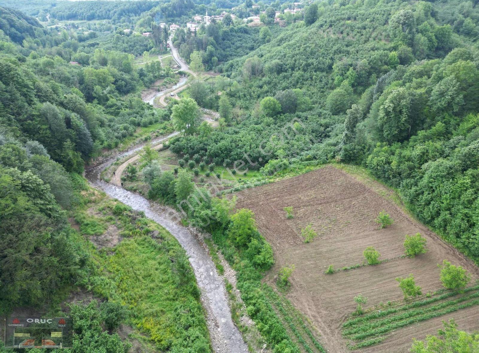 Oruç Gayrimenkulden Dere Kenarı,tarıma Elverişli 3850m² Tarla - Görsel 8