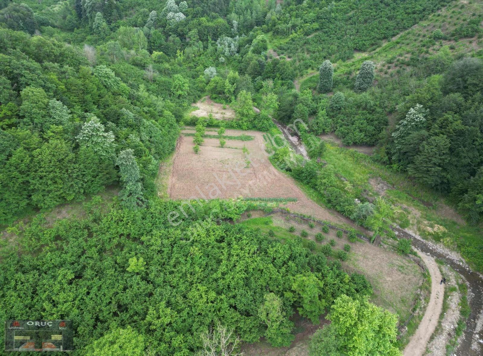 Oruç Gayrimenkulden Dere Kenarı,tarıma Elverişli 3850m² Tarla - Görsel 4