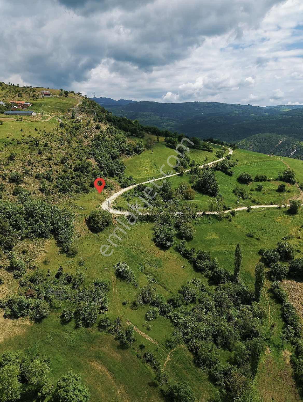 Taraklı Harkköy Hobi Bahçesi Kelepir Ana Yol Kenarı - Görsel 4