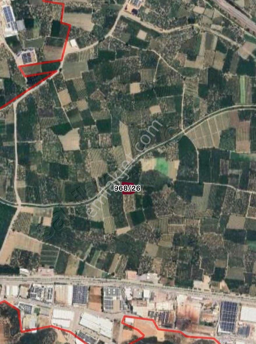 Hd'den Barakfakih 'te Bahçe