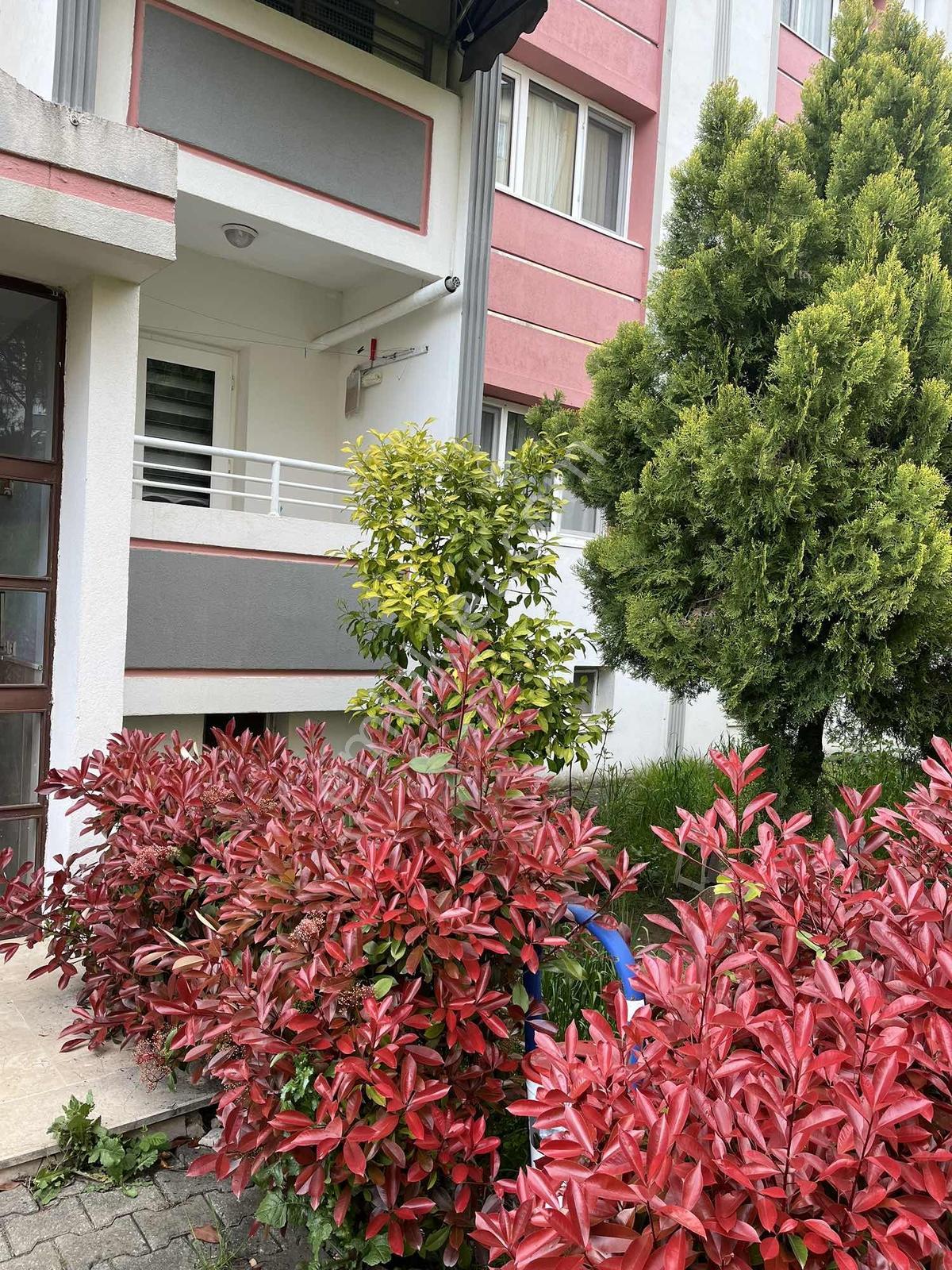 Satılık 2+1 90m2 Kelepir - Görsel 13
