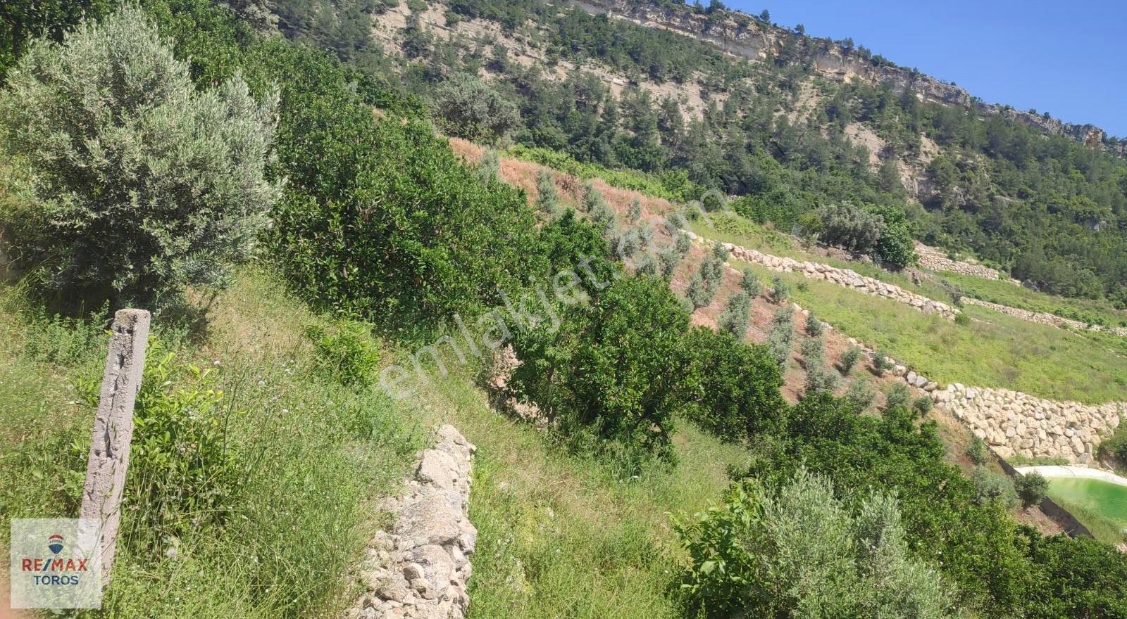 Remax Toros'tan Değirmençay'da Satılık Tarla - Görsel 19