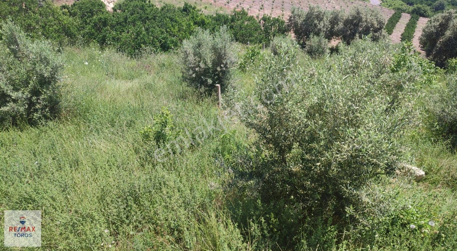 Remax Toros'tan Değirmençay'da Satılık Tarla - Görsel 16