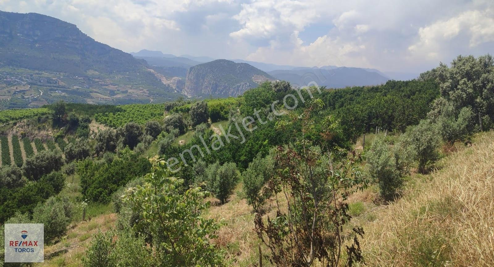 Remax Toros'tan Değirmençay'da Satılık Tarla - Görsel 21