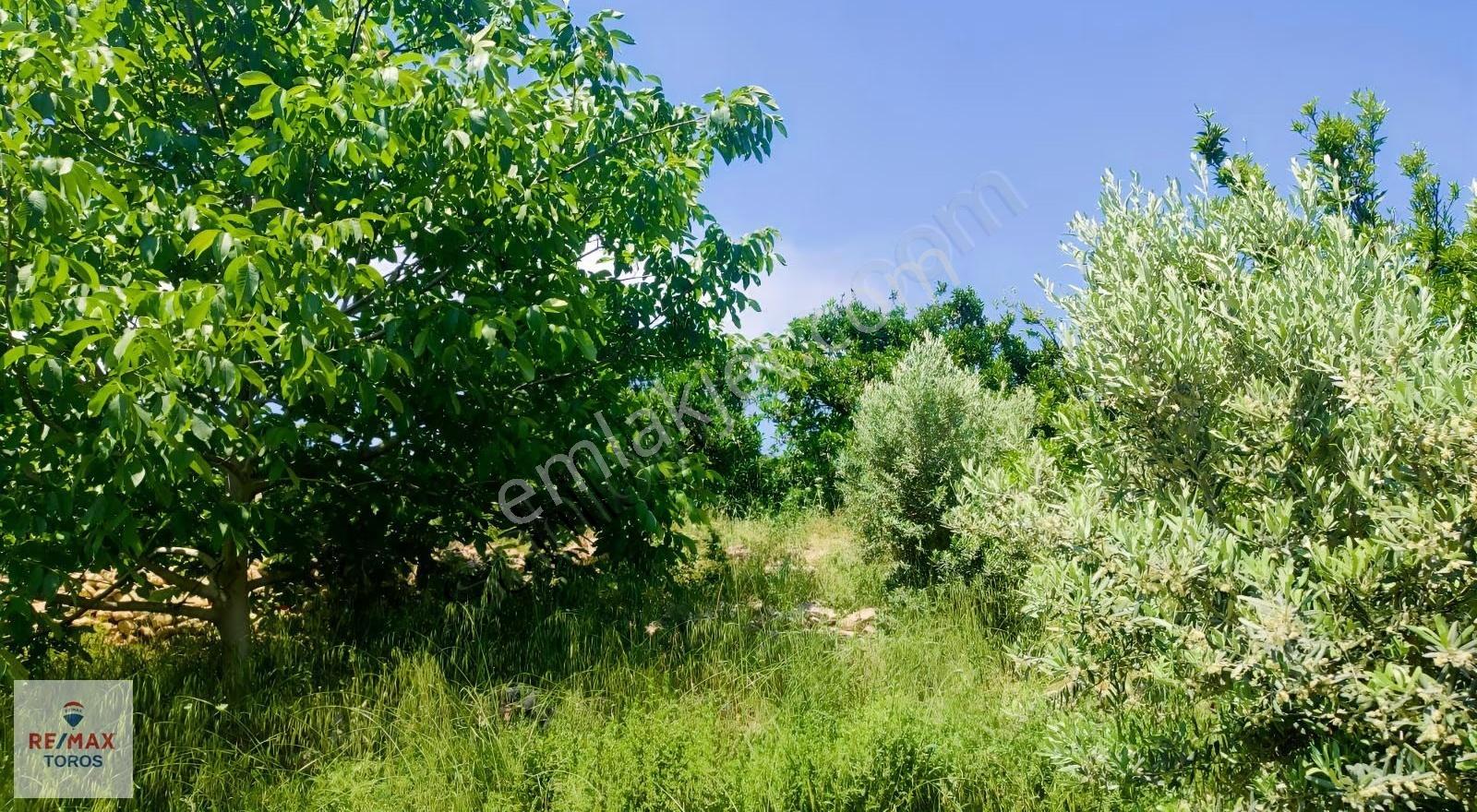 Remax Toros'tan Değirmençay'da Satılık Tarla - Görsel 18