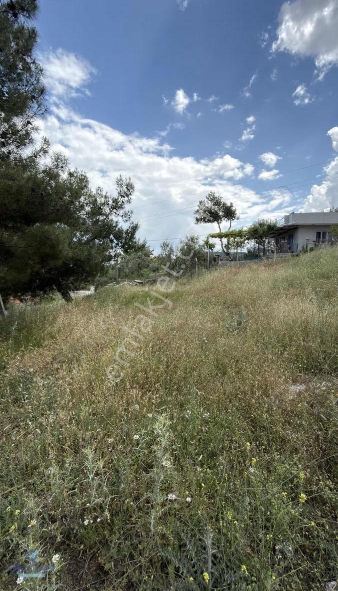 Okatan Gayrimenkul Güvencesiyle Sarma'da Köy İçinde 627m2 Arsa - Görsel 10