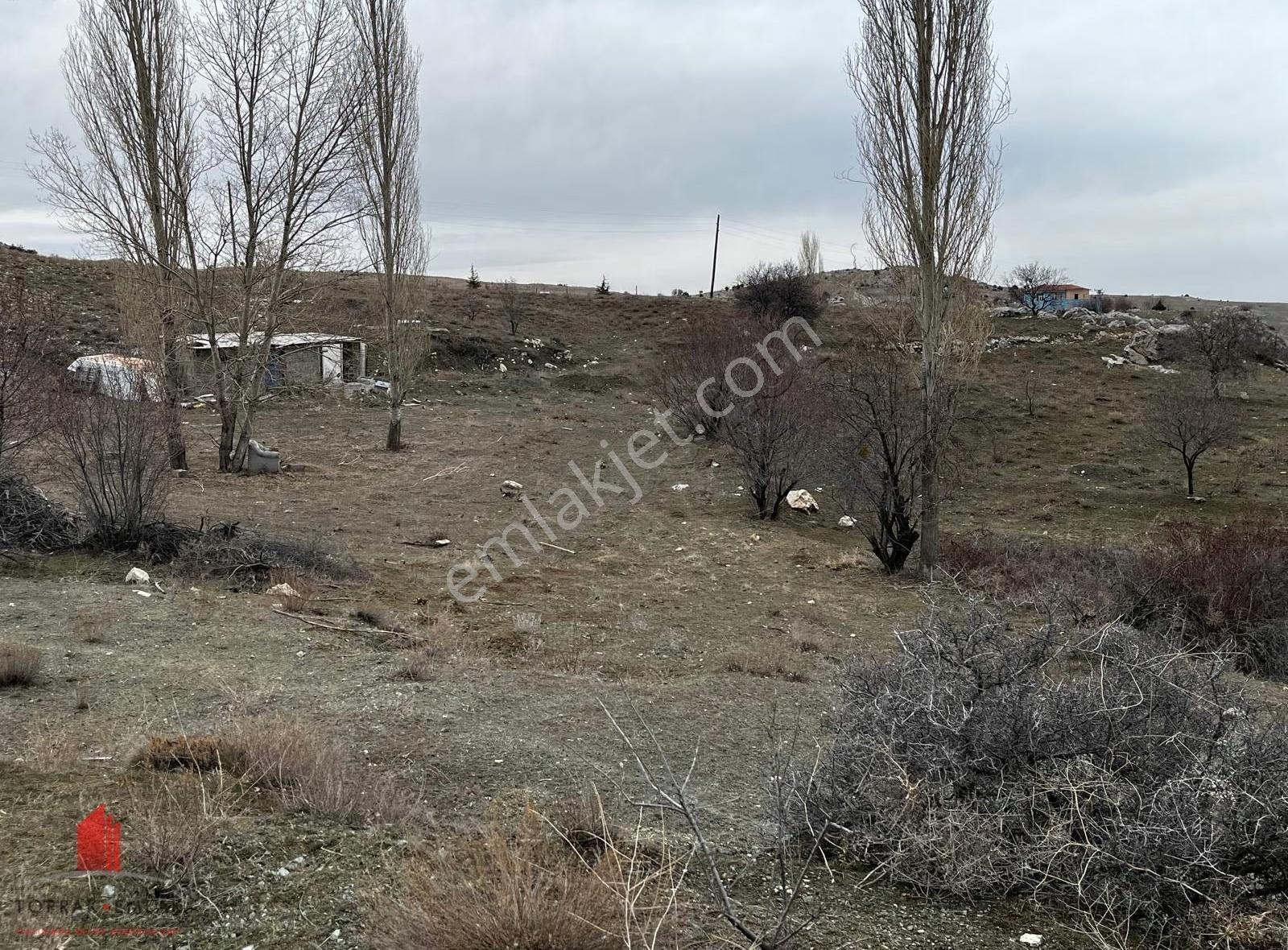 Karadiğinin Dibinde 7100m2 Elektirik, Su Önünde Satılık Bahçe - Görsel 31