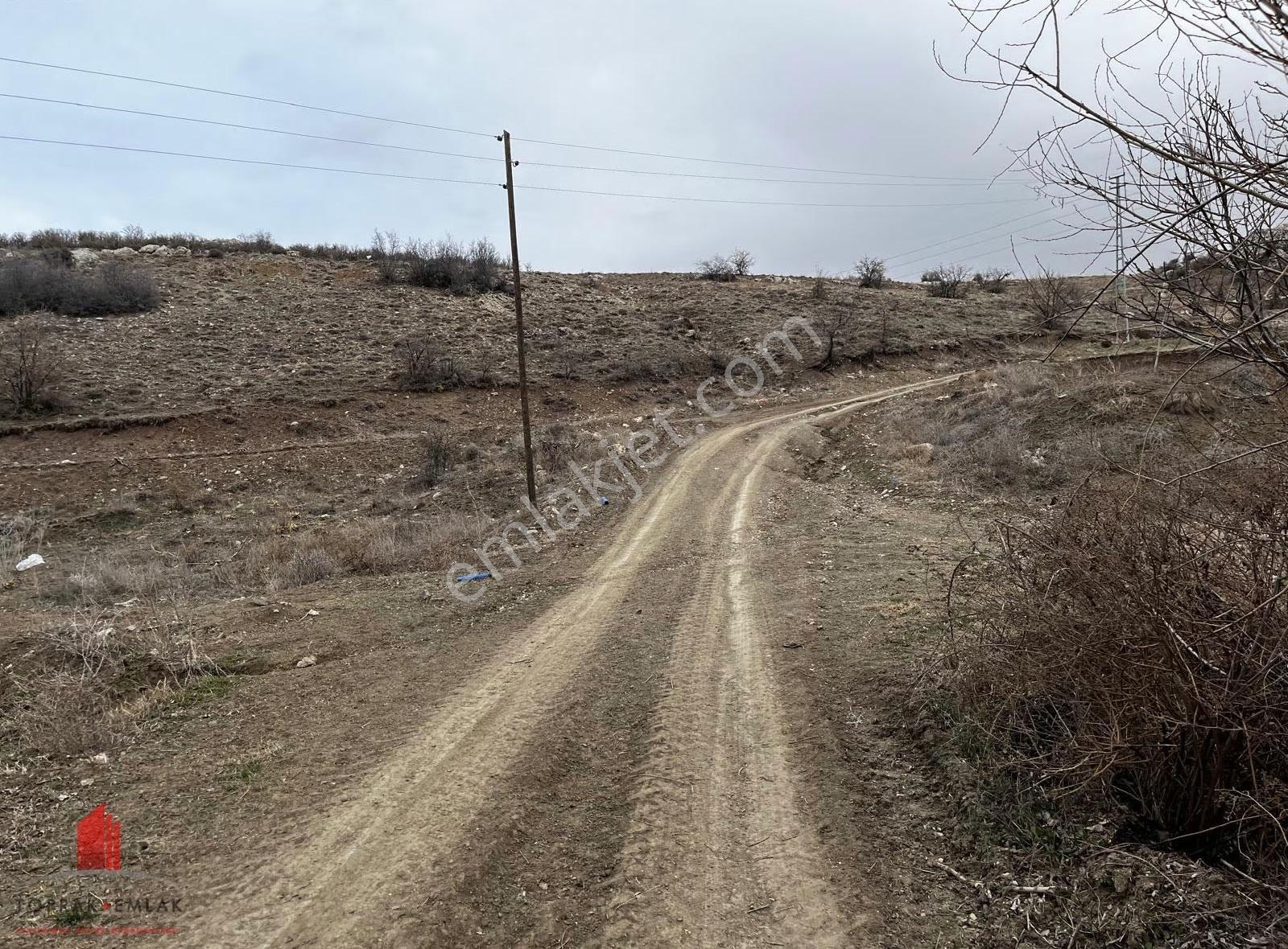 Karadiğinin Dibinde 7100m2 Elektirik, Su Önünde Satılık Bahçe - Görsel 3