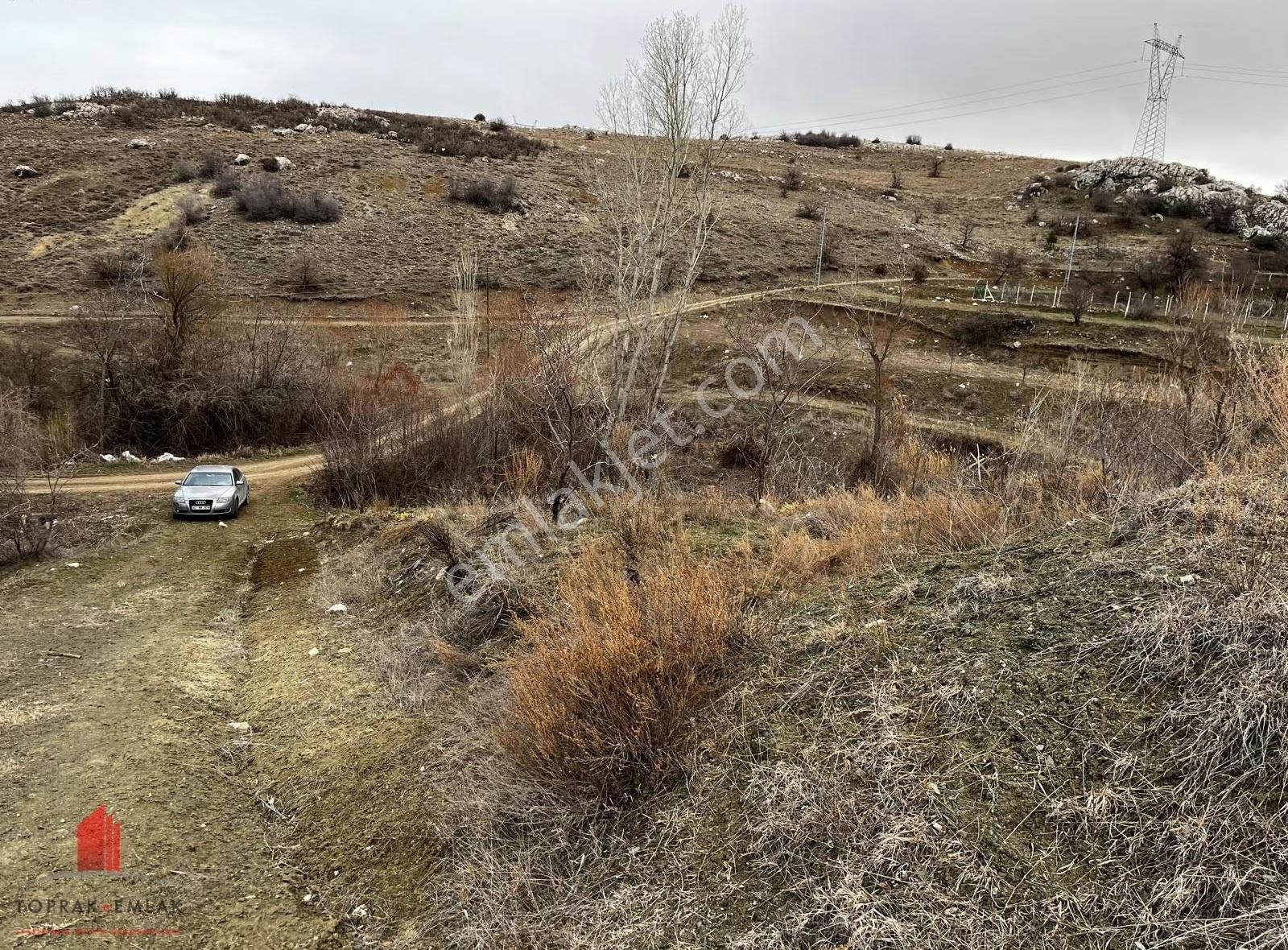 Karadiğinin Dibinde 7100m2 Elektirik, Su Önünde Satılık Bahçe - Görsel 30