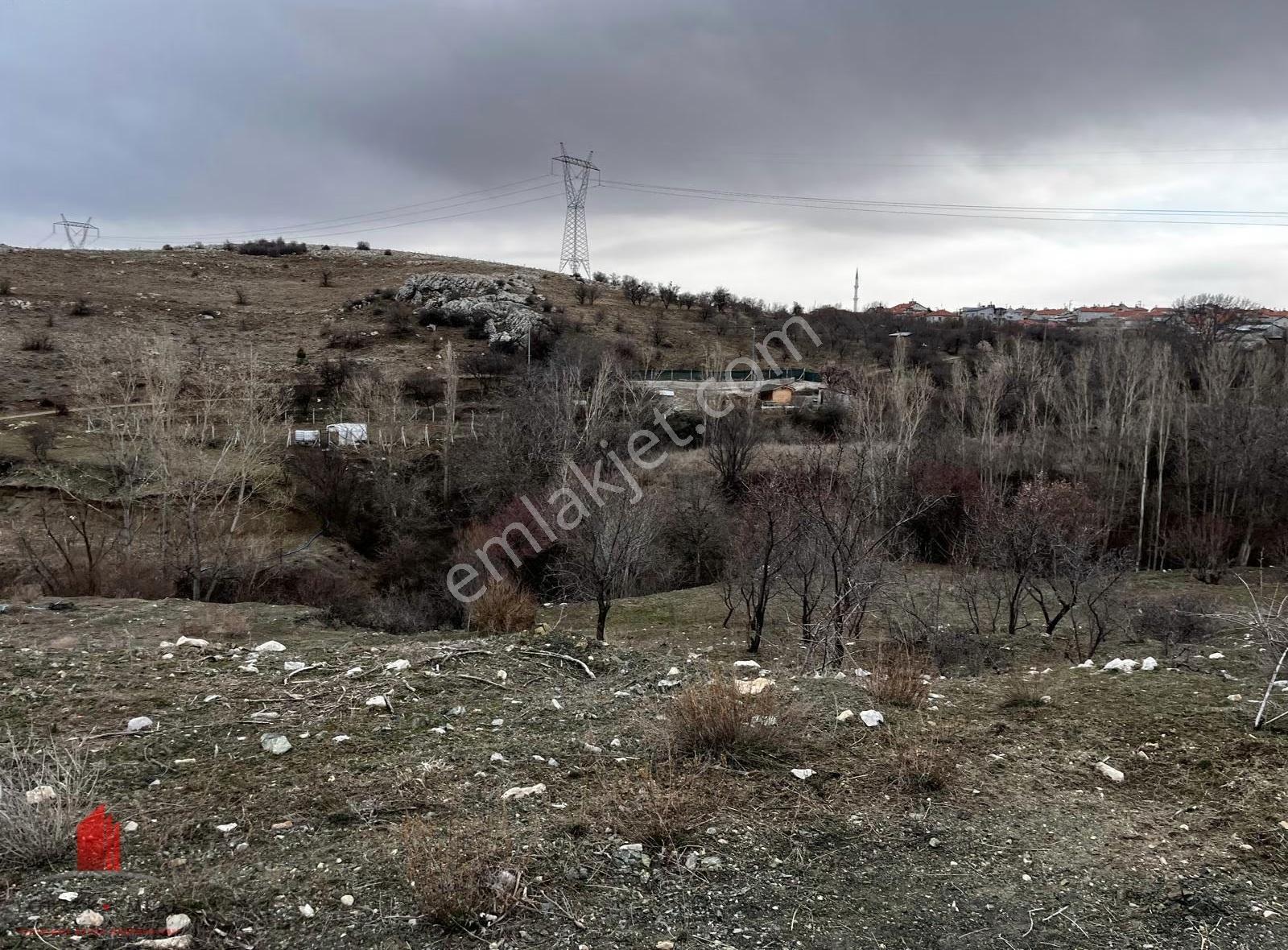 Karadiğinin Dibinde 7100m2 Elektirik, Su Önünde Satılık Bahçe
