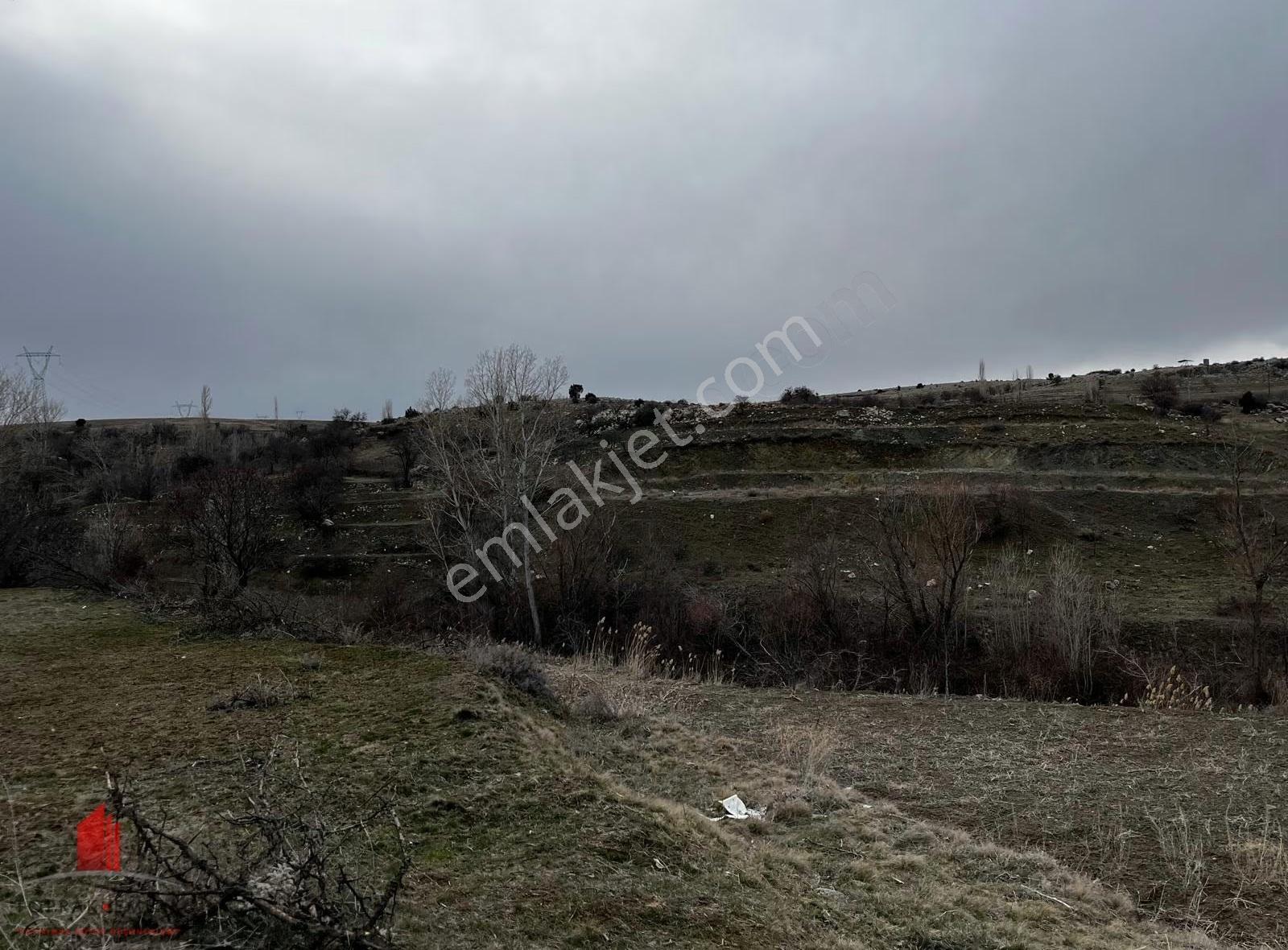 Karadiğinin Dibinde 7100m2 Elektirik, Su Önünde Satılık Bahçe - Görsel 11