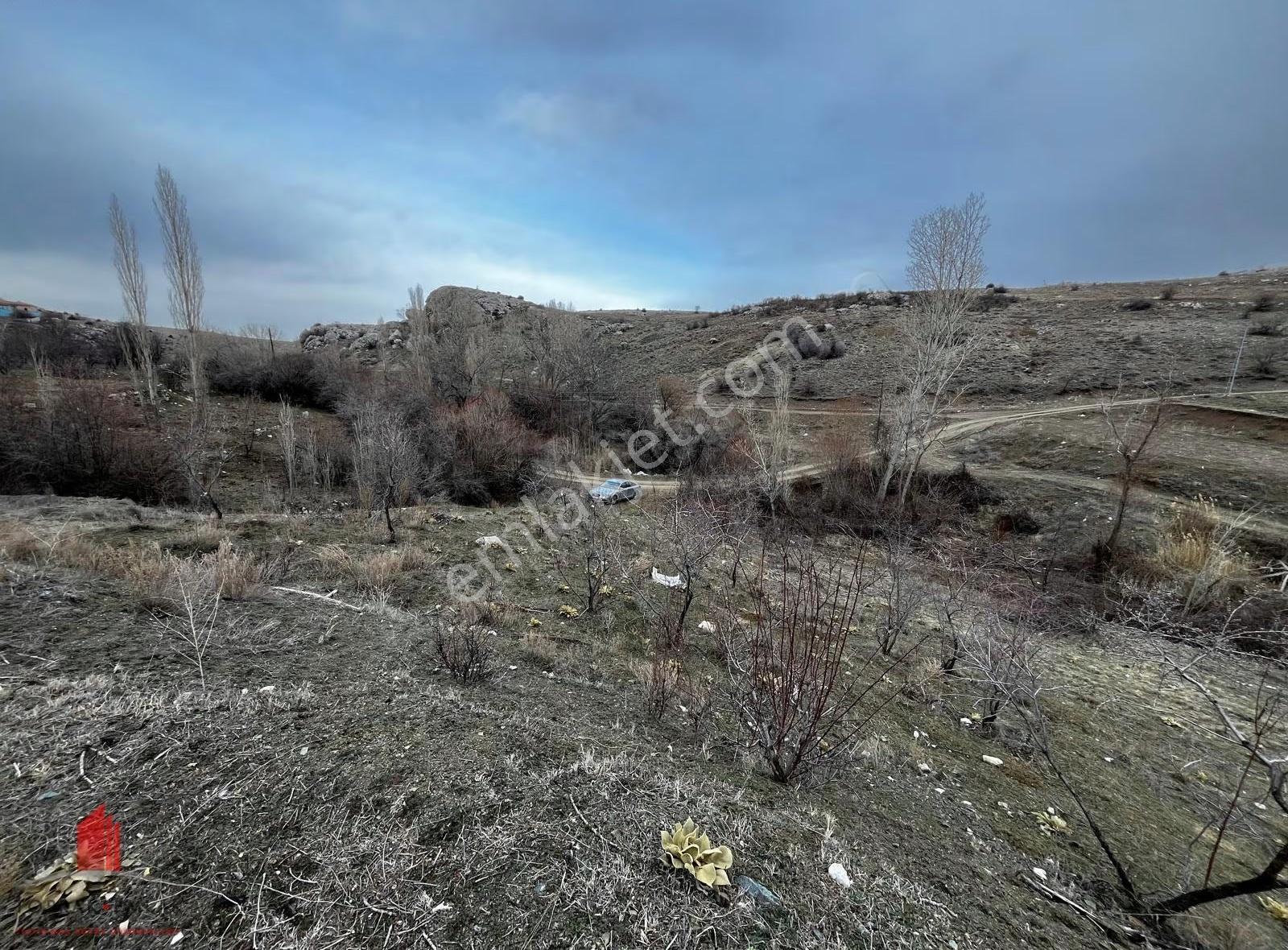 Karadiğinin Dibinde 7100m2 Elektirik, Su Önünde Satılık Bahçe - Görsel 2