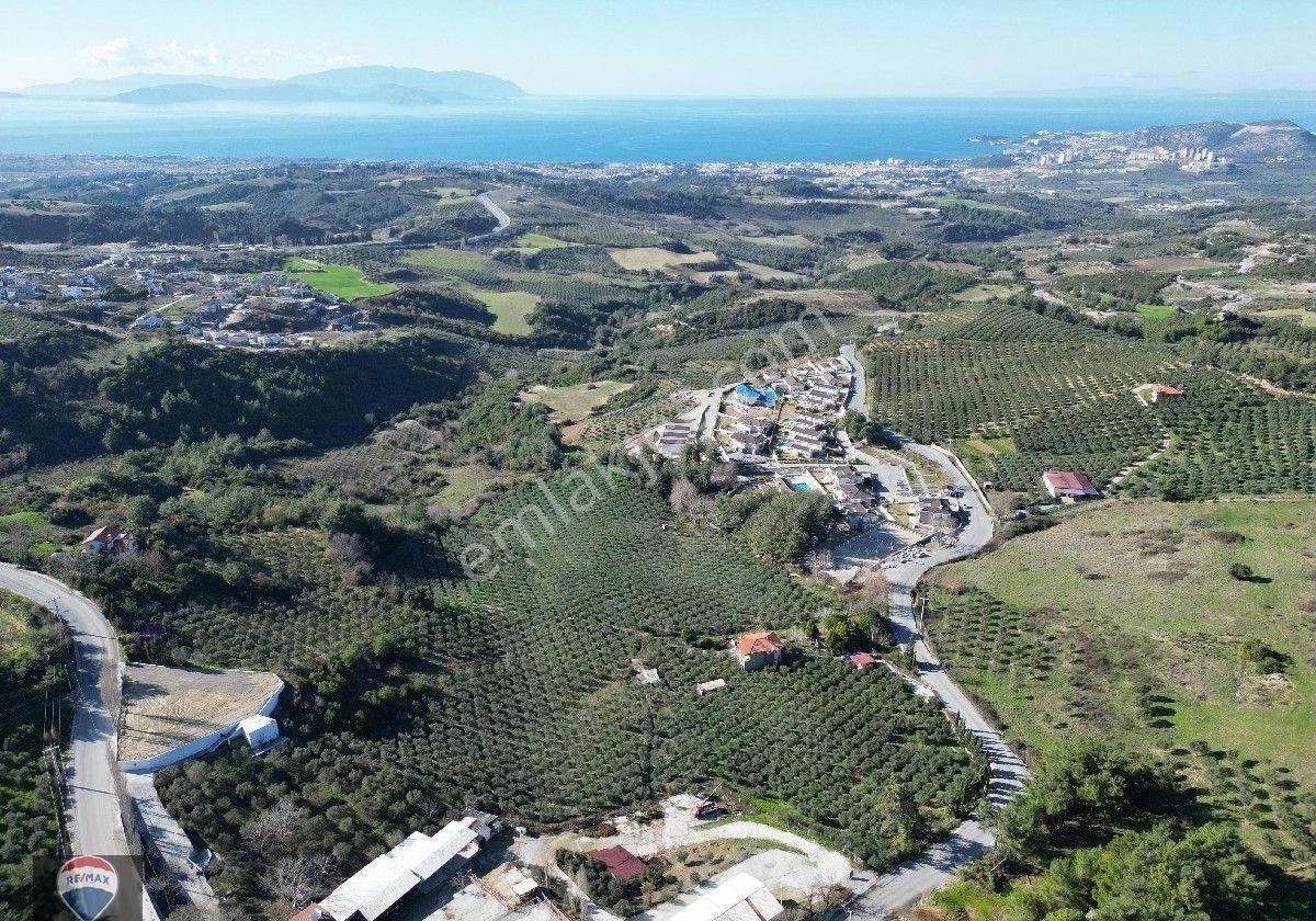 Aydın Kuşadası Yaylaköyde Full Deniz Manzaralı 40 Dönüm Satılık Arazi Yatırıma Uygun M2 Fiyatı - Görsel 17