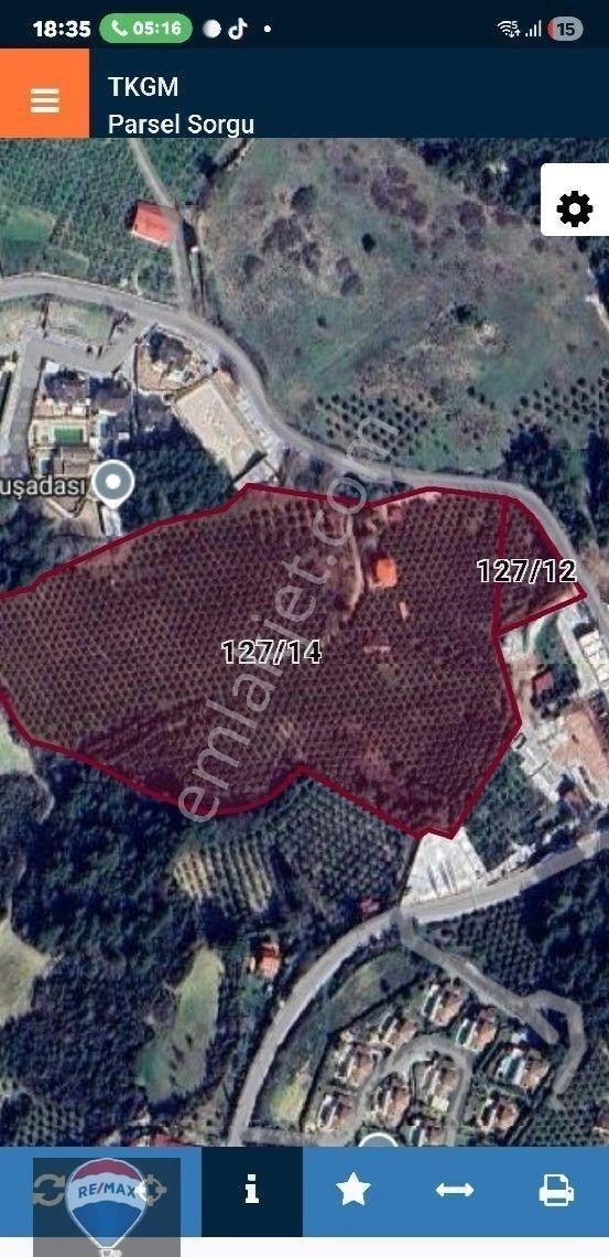 Aydın Kuşadası Yaylaköyde Full Deniz Manzaralı 40 Dönüm Satılık Arazi Yatırıma Uygun M2 Fiyatı - Görsel 4
